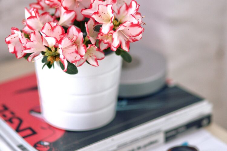 5 Benefits of Keeping Natural Flowers at Home